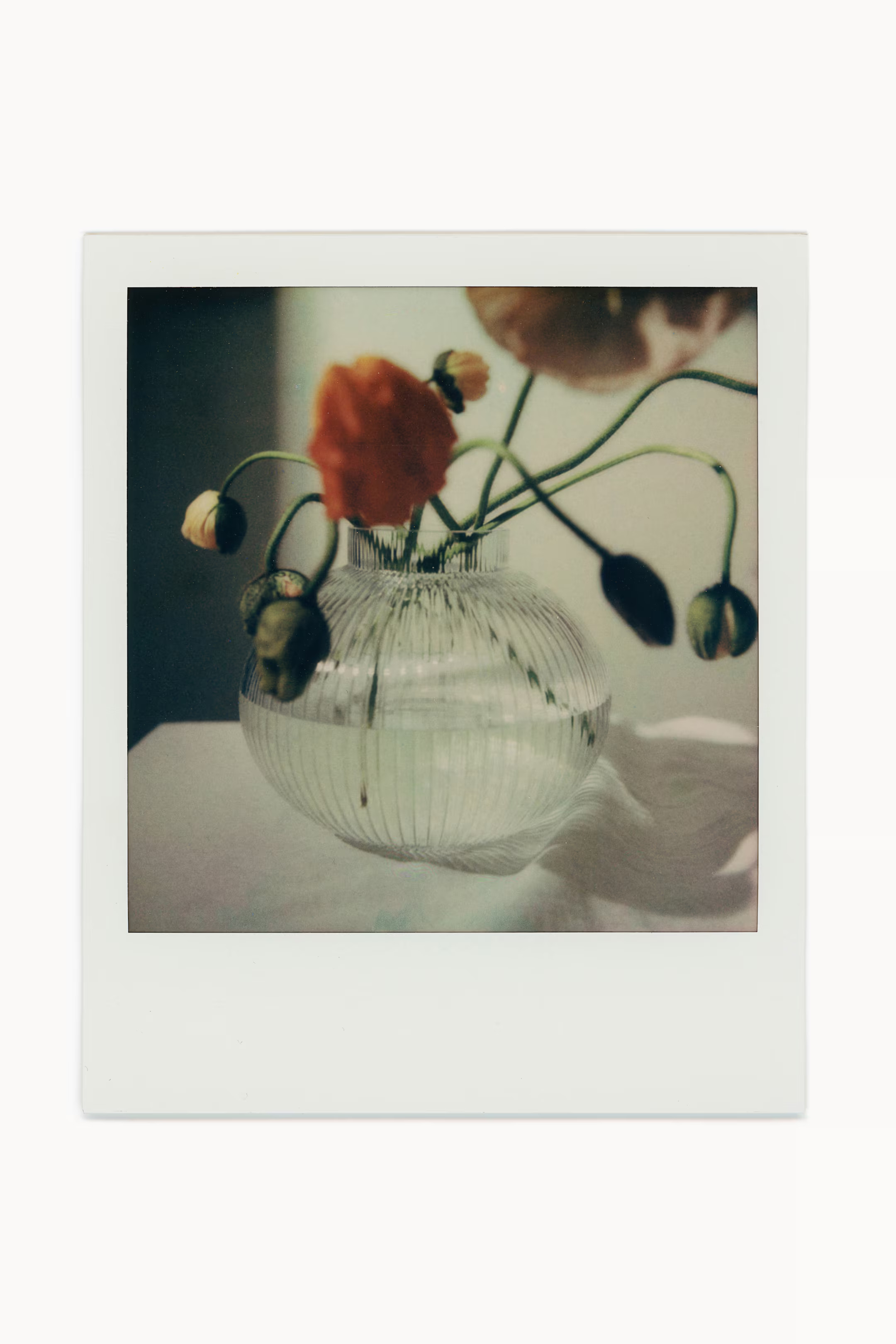 Glass vase | H&M (UK, MY, IN, SG, PH, TW, HK)