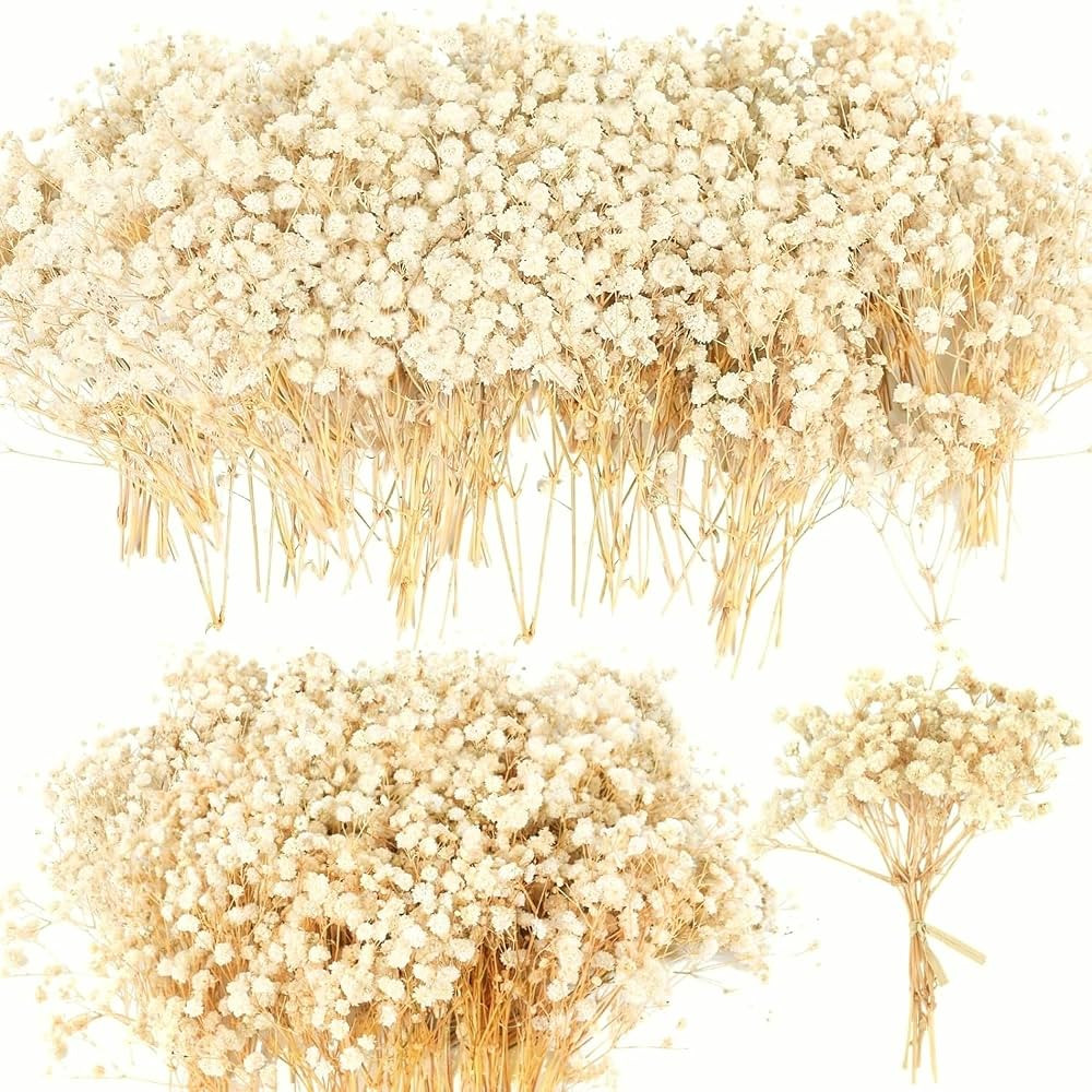 4700+ Mini Dried Babys Breath Flowers, 90+Pcs Ivory White Baby Breath Flower Bulk, Dried Flowers ... | Amazon (US)