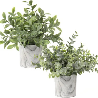 Faux Plants Indoor Artificial Mini Potted Plants Plastic Green Plant Small Fake Plants Eucalyptus Decor In Pots For Home Table Room Bathroom Decor | Wayfair North America