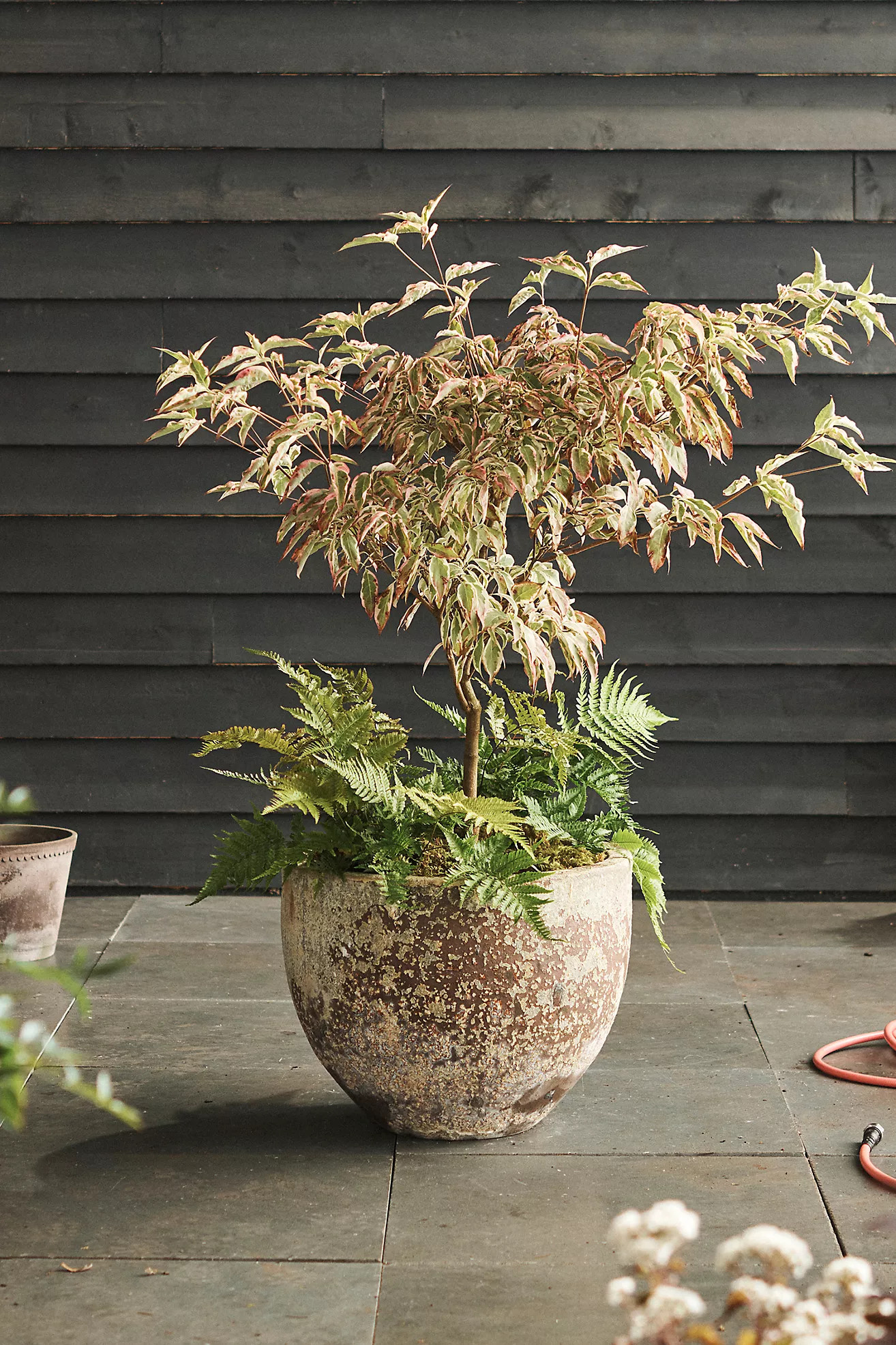 Barnacle Low Egg Pot, 24" | Terrain