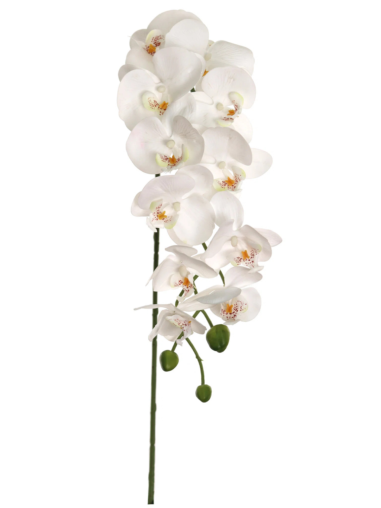 43” Phalaenopsis Orchid With 12 Flowers – White (set Of 3) (Set of 3) | Wayfair North America