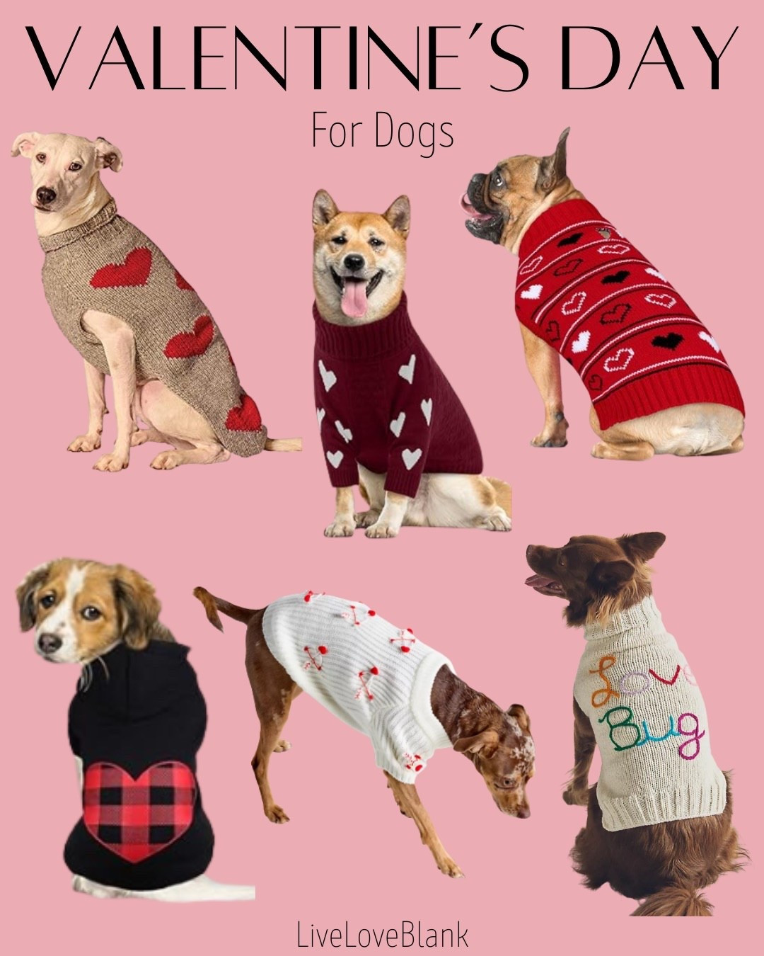 Valentine’s Day sweaters for dogs 
Gifts for your pets 

#LTKSeasonal