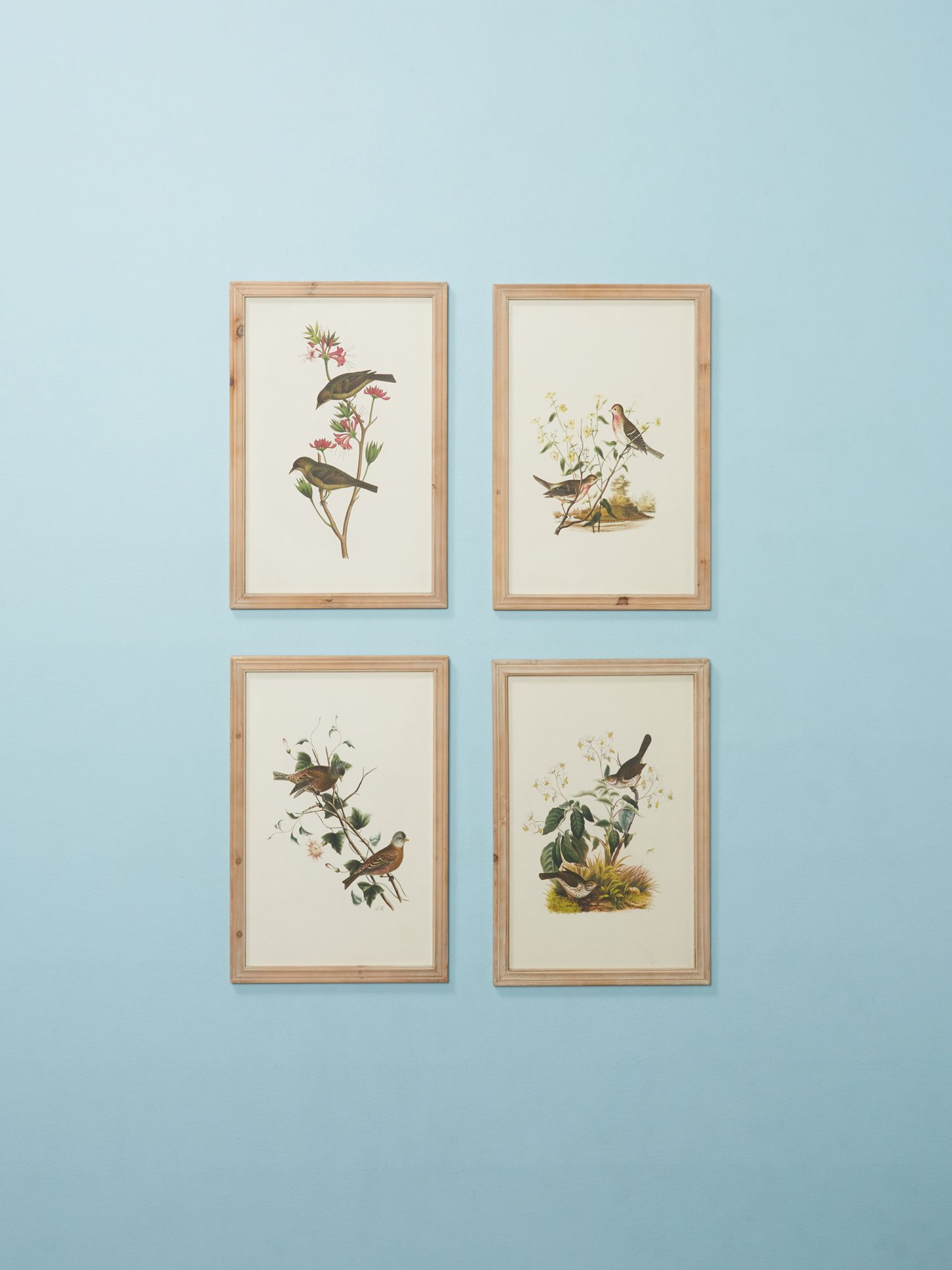 4pk 16x24 Bird Prints Framed Wall Art | Living Room | HomeGoods | HomeGoods