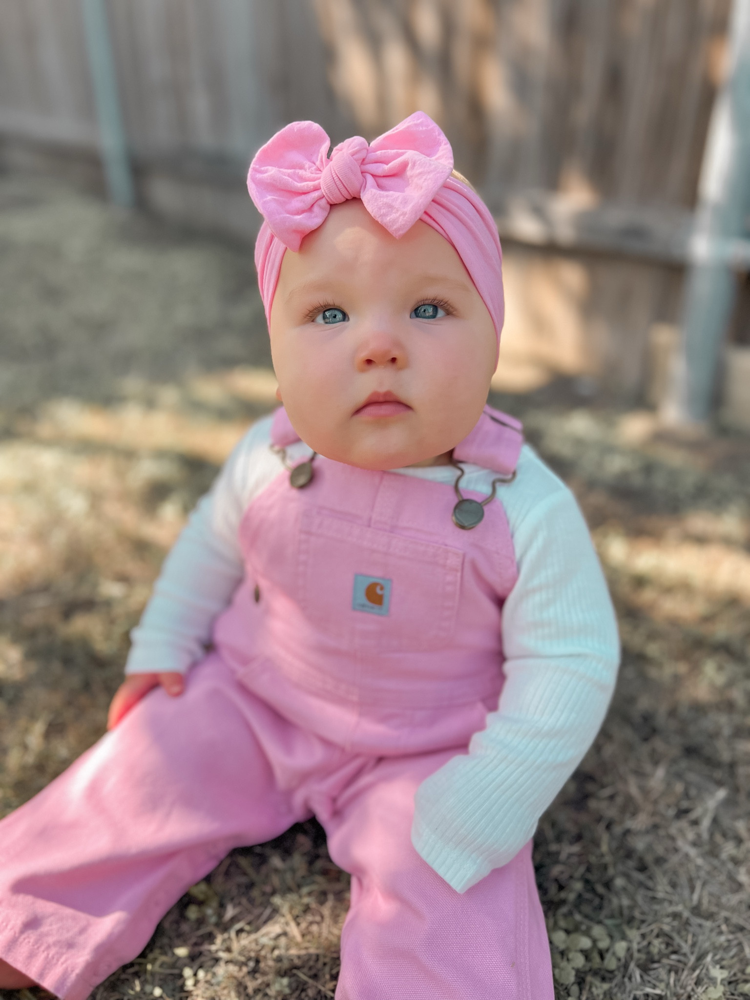 Baby girl outfit idea 🎀 These are the cutest overalls from Carhartt! Perfect for a fall or winter outfit. - Carhartt Overalls - baby girl - outfits - pink overalls - pink bow - girl outfits - fall outfits - winter outfits - baby girl outfit ideas #babygirl #outfitideas #babyoutfits #overalls #pink #bows #ltkgiftguide

#LTKBaby #LTKStyleTip #LTKSeasonal