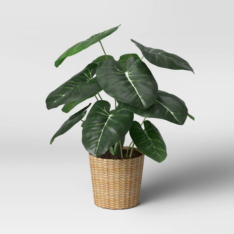 Large Dasheen Leaf in Basket - Threshold™ | Target