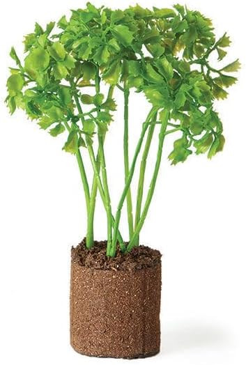 Napa Home & Garden Parsley 8" Drop-in | Amazon (US)