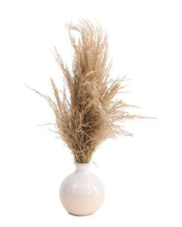 Pampas Grass In Dipped Vase | TJ Maxx