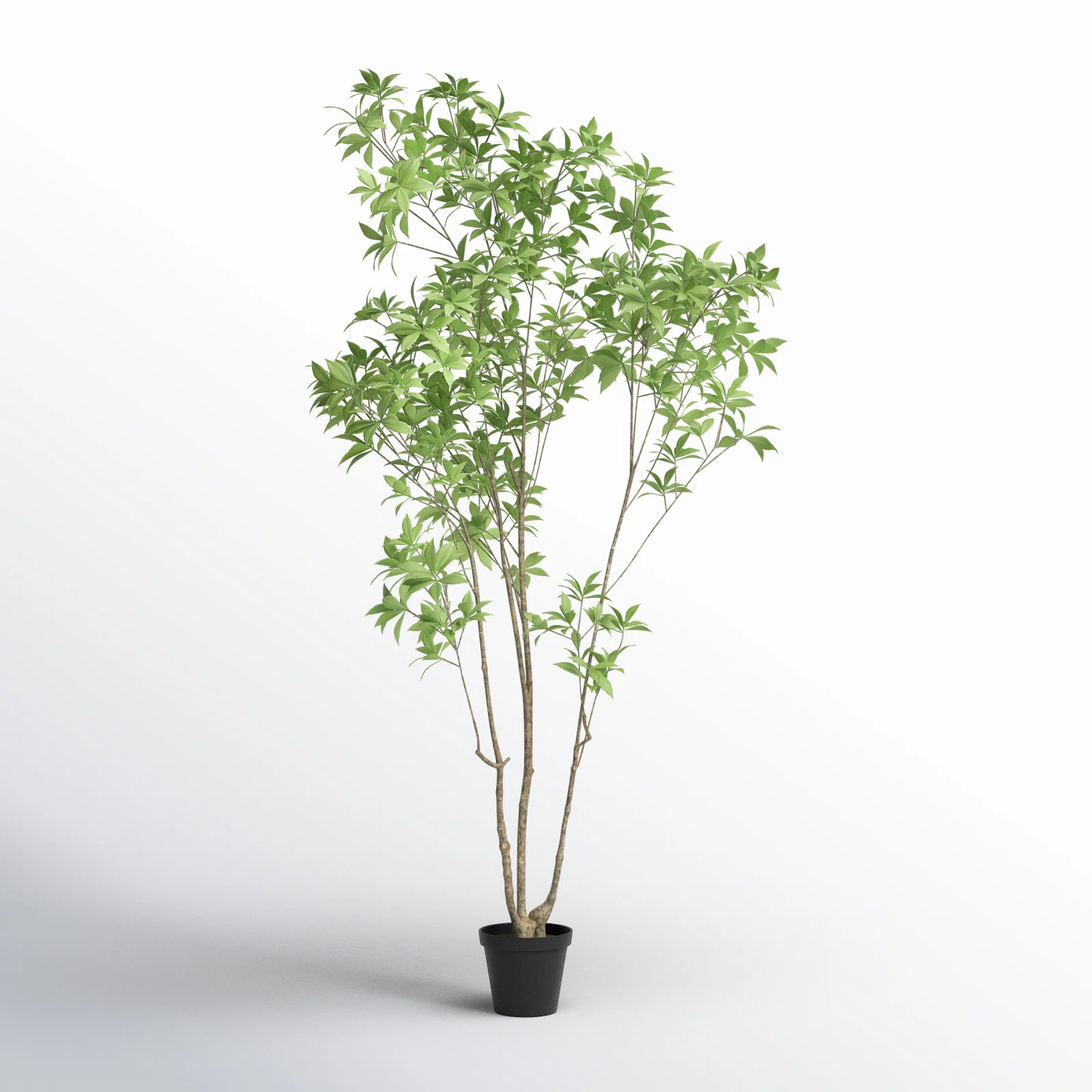 Birch Lane™ Dandelion 87.02" Artificial Eucalyptus Tree in Planter & Reviews | Wayfair | Wayfair North America