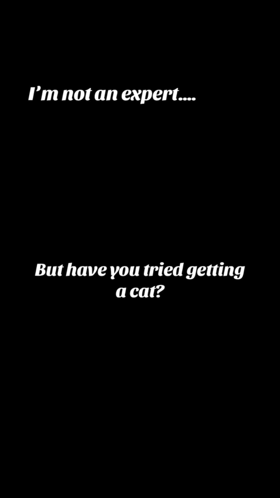 I’m pretty sure cats can solve 98% of your issues 💁‍♀️ #caturday