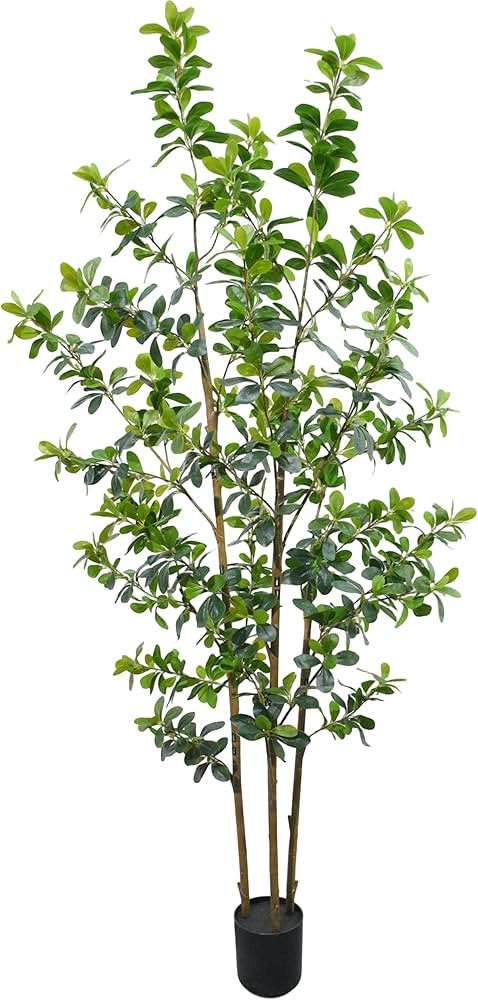 Fake Trees Premium 3 Main Trunks 6 ft Faux Black Olive Tree, Realistic Olive Trees Artificial Ind... | Amazon (US)