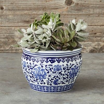 Blue & White Ceramic Planter, Small | Williams-Sonoma