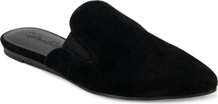 Splendid Liza Pointed Toe Mule (Women) | Nordstrom | Nordstrom