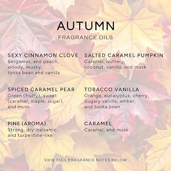 Eternal Essence Oils Autumn Set of 6 Premium Fragrance Oils - Includes Sexy Cinnamon Clove, Salte... | Amazon (US)