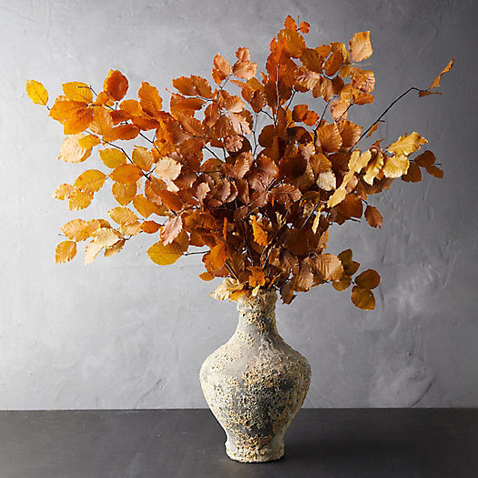 Preserved Beech Leaf Bunch | Terrain