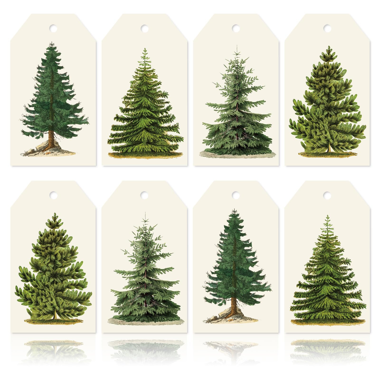 Whaline 120Pcs Christmas Tree Gift Tags with Rope Vintage Green Beige Paper Tags Xmas Winter Hang... | Amazon (US)
