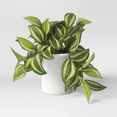 9" Artificial Trailing Zebrina in Ceramic Pot Green/White - Threshold™ | Target