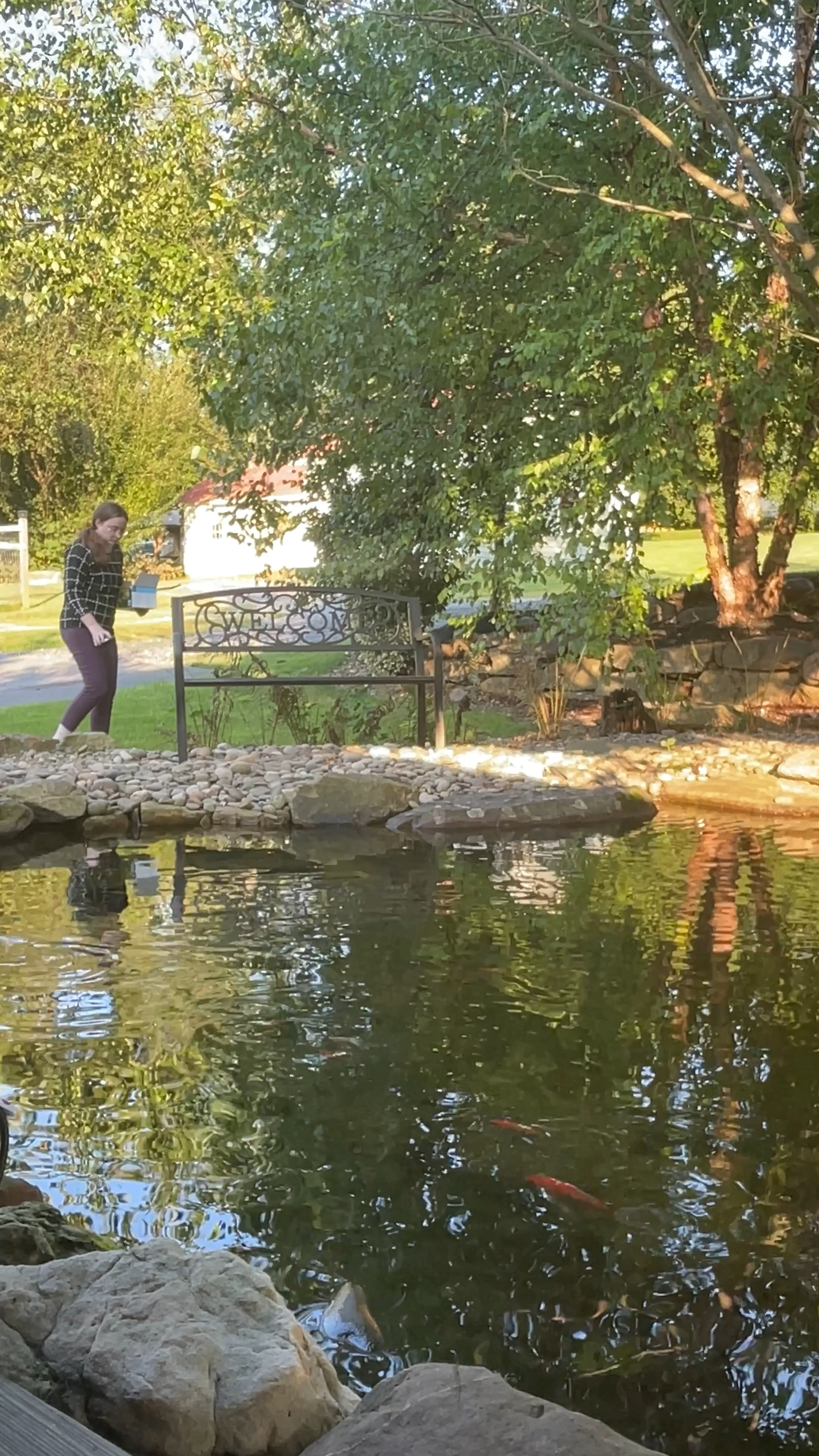 Solar lights are the perfect addition to your outdoor living 

#LTKFindsUnder50 #LTKHome #LTKSeasonal