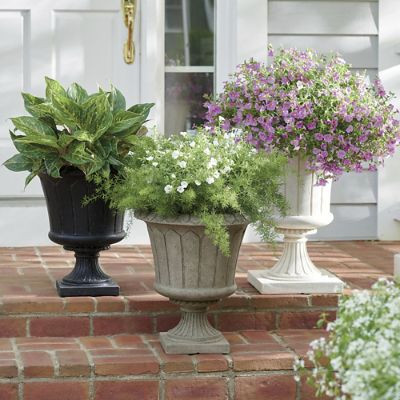 Keighley Pedestal Planter | Grandin Road | Grandin Road