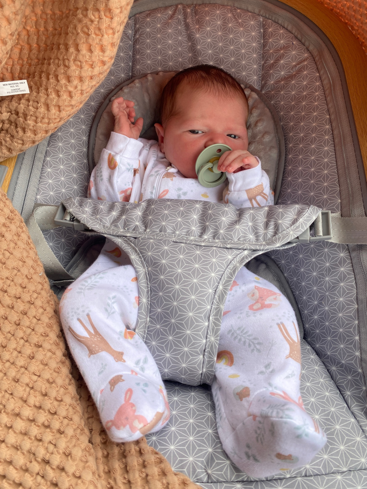 a newborn must have

this seat has been so helpful in the first couple days with scottie! she loves to sit in her and can bounce herself a little  bit🩷

#newborn #musthave #lounger

#LTKFind #LTKbaby #LTKfamily