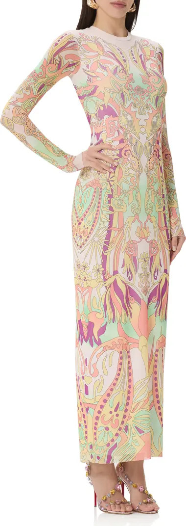 Didi Print Long Sleeve Maxi Dress | Nordstrom