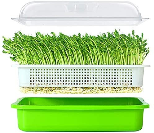 LeJoy Garden Seed Sprouter Tray BPA Free  | Amazon (US)