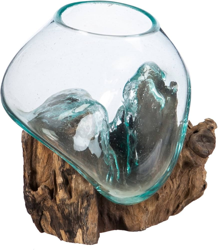 Cape Craftsmen Hand-Blown Blue Tinted Bubble Glass On Natural Teak Driftwood Terrarium | Home Dé... | Amazon (US)