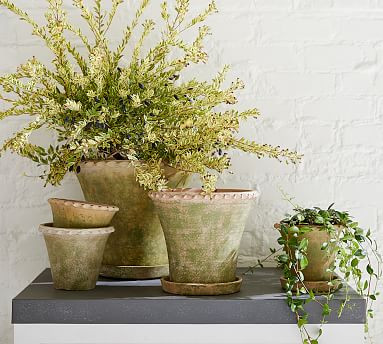 Provence planter  | Pottery Barn (US)