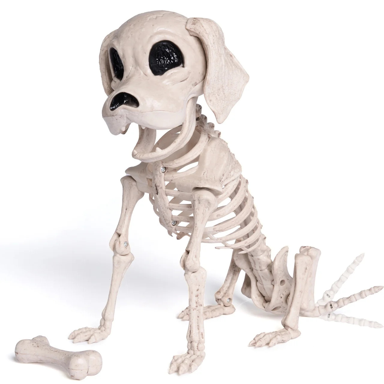 Syncfun 9.8 Inch Halloween Skeleton Dog Skeleton Halloween Decor,Pose-N-Stay Plastic Skeleton Bon... | Walmart (US)