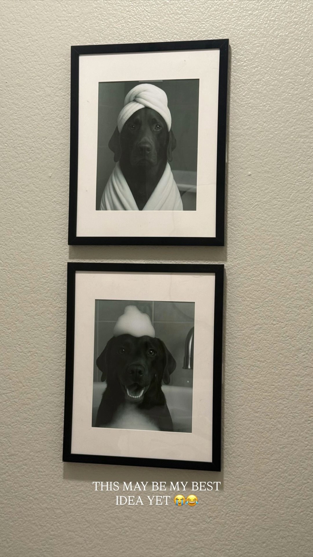 THIS MAY BE MY BEST IDEA YET 😭😂