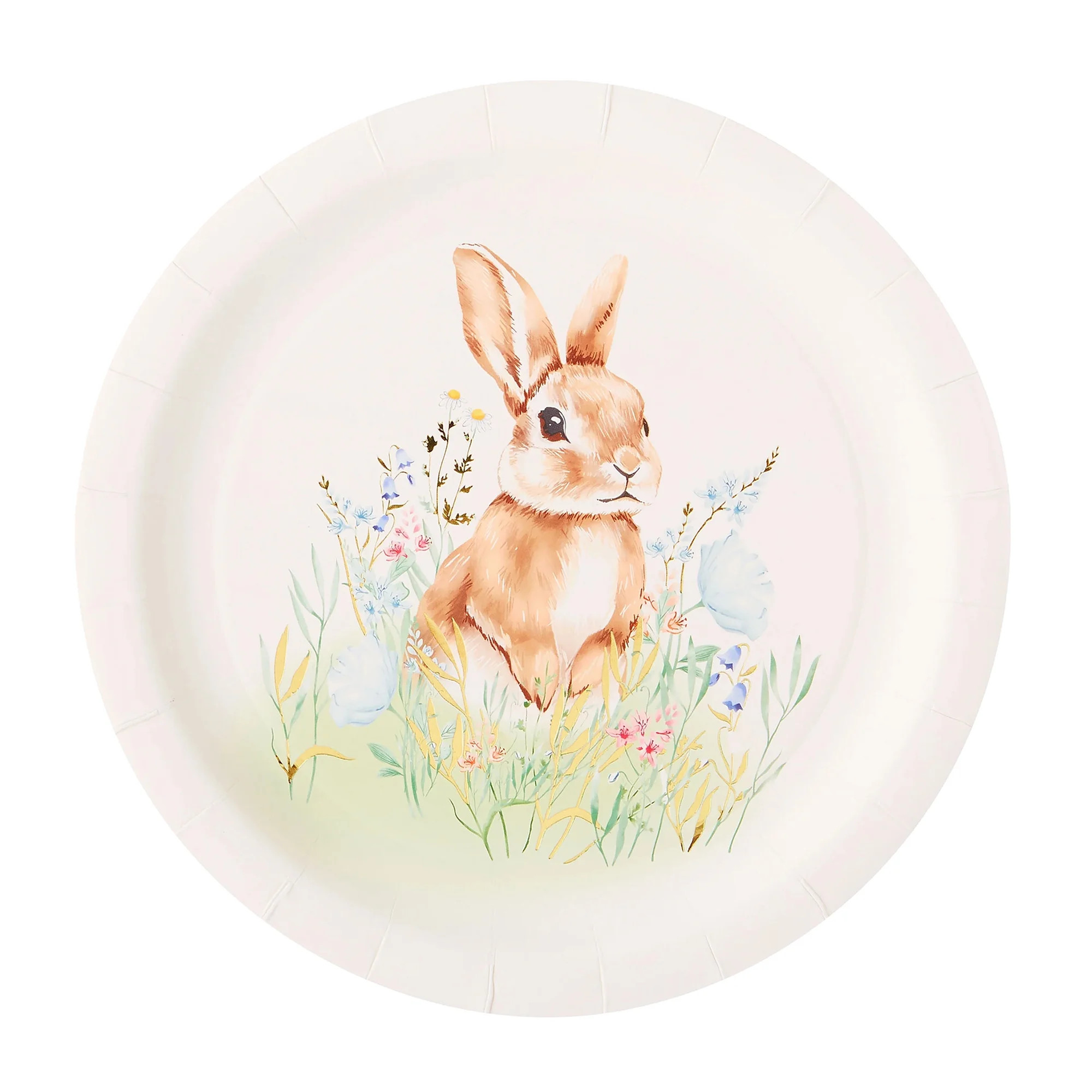 Multicolor Field Bunny Disposable Paper Plates, 9", 8 Count, Easter by Way To Celebrate | Walmart (US)