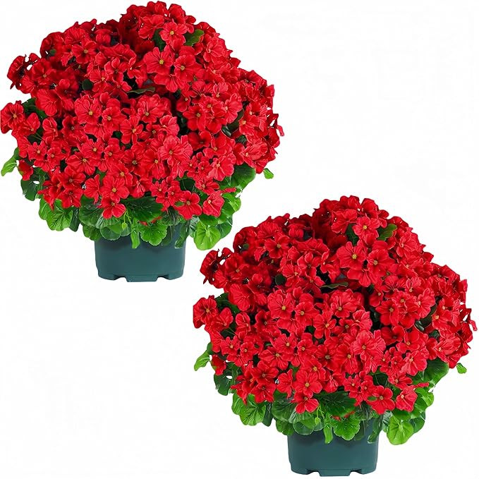 QIANYUN Artificial Topiary for Outdoors- 20” Potted Plant Fake Geraniums Bush-UV Resistant Arti... | Amazon (US)