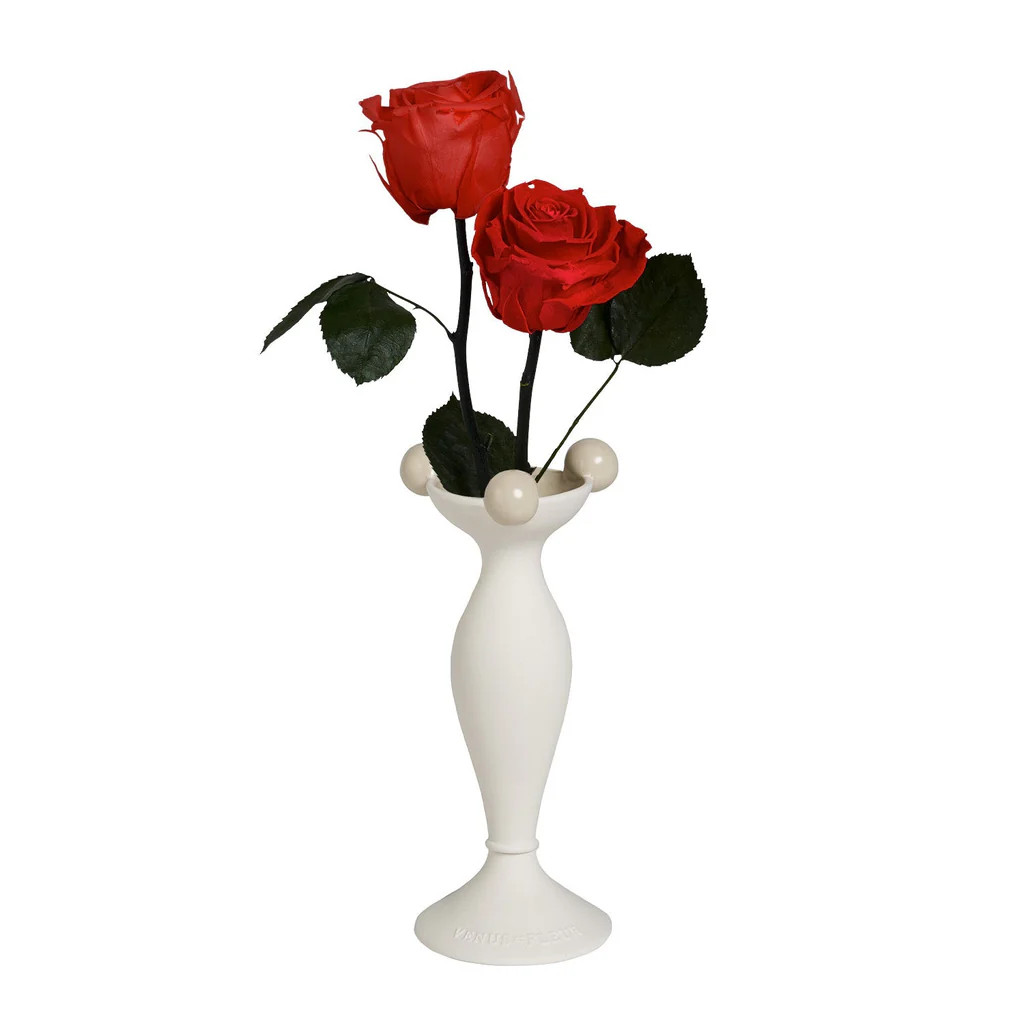 Maison Collection - Babiole Vase with Two Long Stem Eternity Rose | Venus ET Fleur
