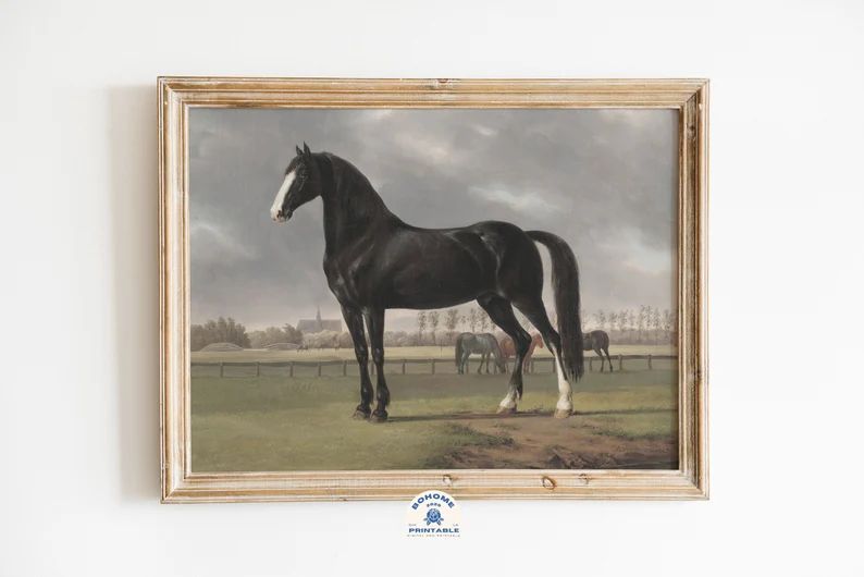 Horse Print Digital Download Printable Art Vintage Gallery - Etsy | Etsy (US)