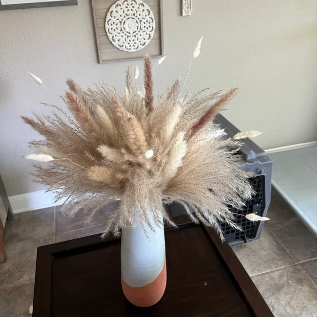 Pompass Grass | Pampas Grass – 40/60/80/92 stem 17inch, Natural Dried Pompass Grass, dried flow... | Etsy (US)