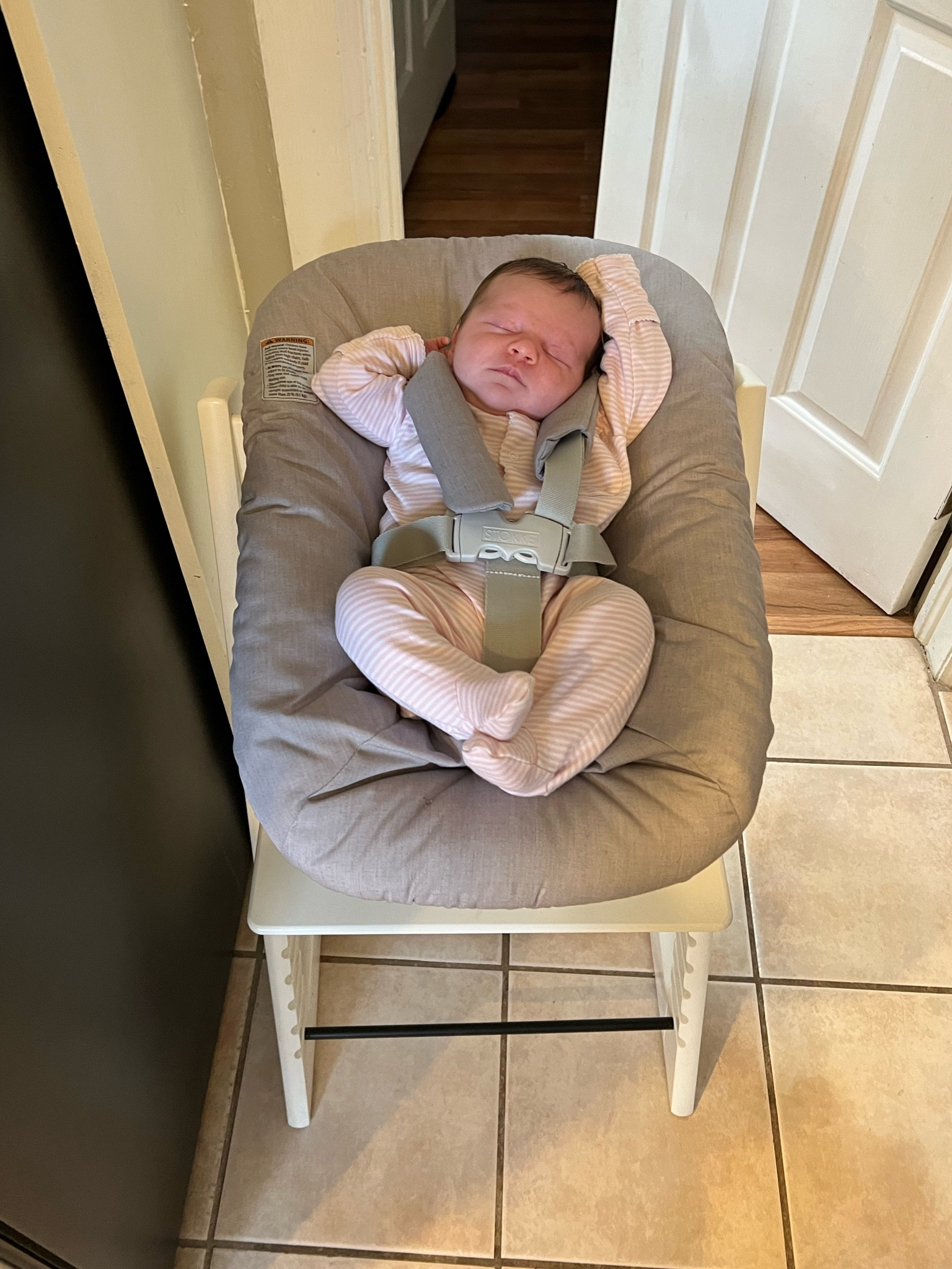 This Stokke infant seat is 12/10!! Especially if you have a dog and a toddler.

#LTKbaby #LTKkids #LTKbump