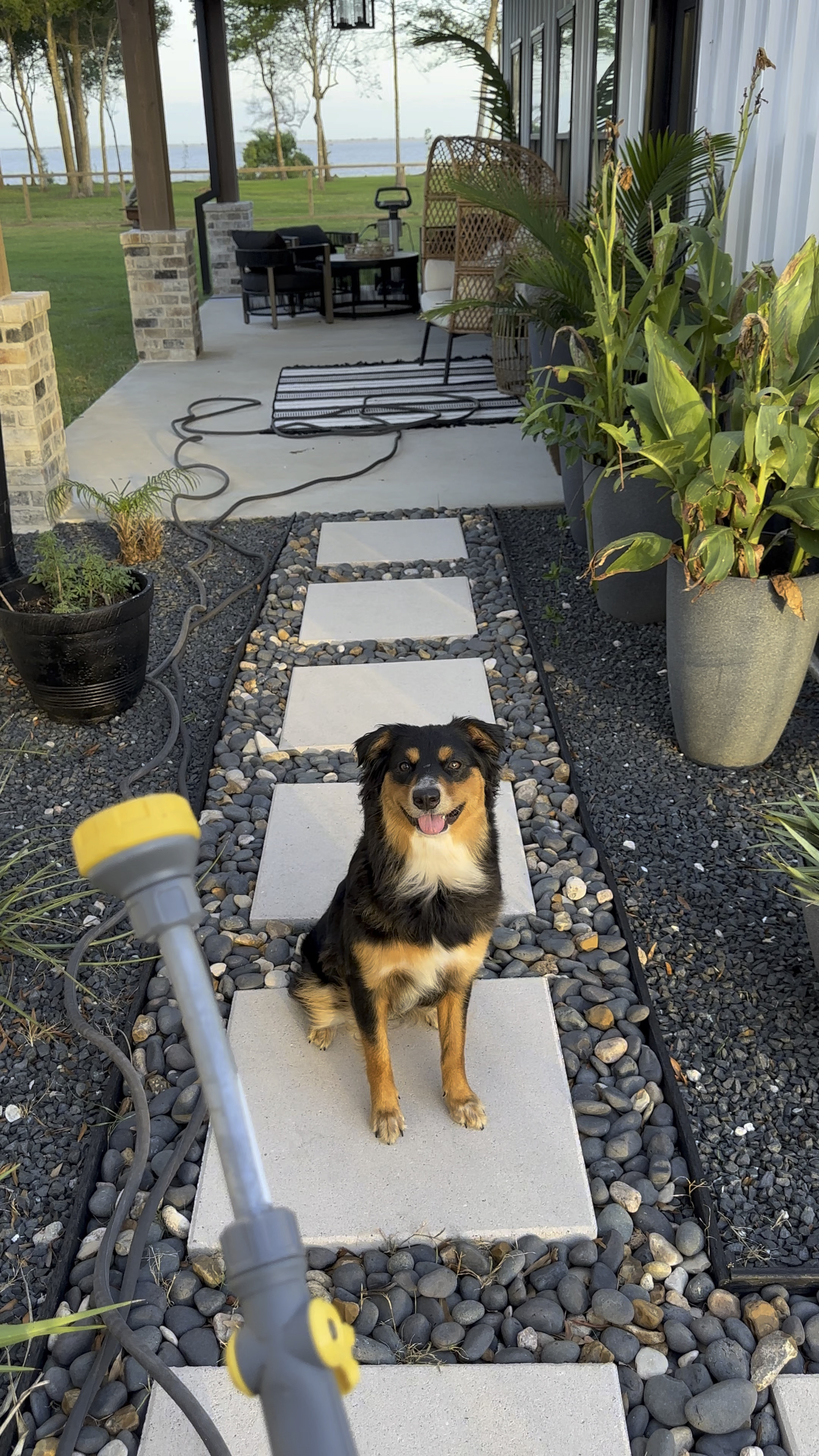 My favorite water sprayer and garden hose! Walmart garden sprayer. Light weight water hose. 

#LTKHome #LTKVideo #LTKSeasonal