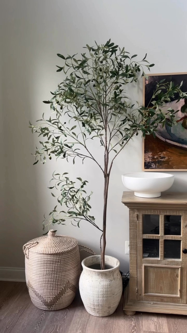 Olive tree, amazon home, pottery barn, home decor, modern organic 

#LTKHome