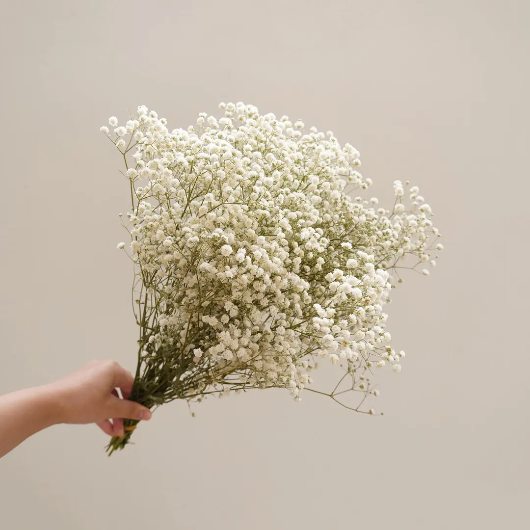 Natural Baby's Breath Preserved Flowers, Bouquet Decoration, Deried Flower Decoration, Wedding De... | Etsy (US)