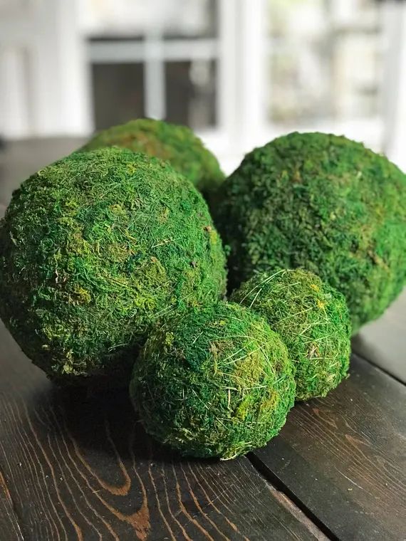 Moss Balls-Moss Ball-Decorative Sphere for Bowls-Decorative Orbs-Bowl Fillers-Farmhouse Decor-CHO... | Etsy (US)