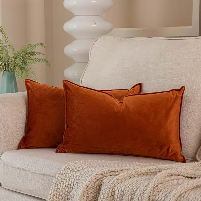 12x20 Pillow Covers Set of 2 Decorative Throw Pillow Covers Case for Couch Sofa Bed Soft Velvet L... | Amazon (US)