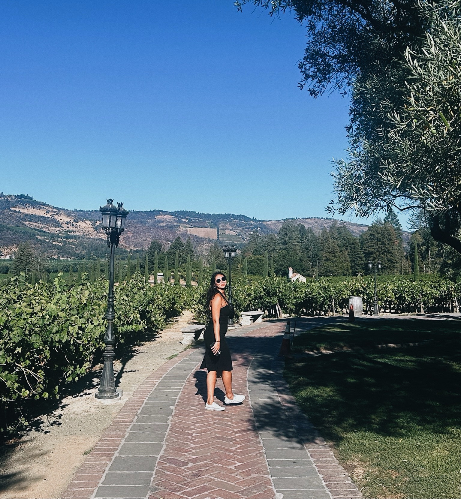 vineyard days are the best days 🍇🍷🍾

#LTKTravel #LTKFindsUnder50 #LTKStyleTip