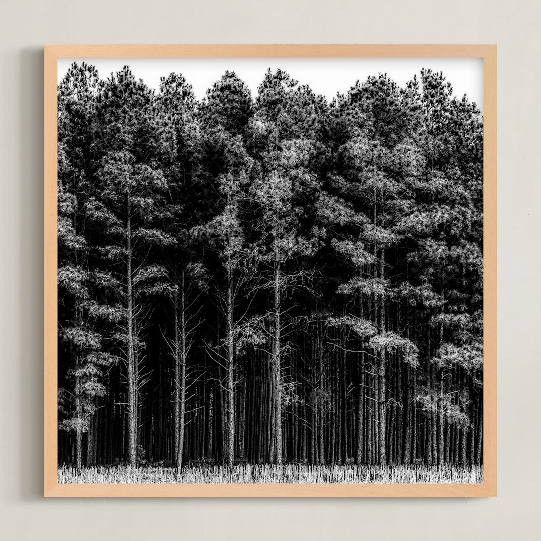 through the trees | Minted
