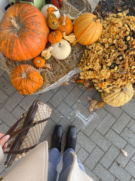 Pumpkin season 🎃

#LTKHalloween #LTKshoecrush #LTKstyletip