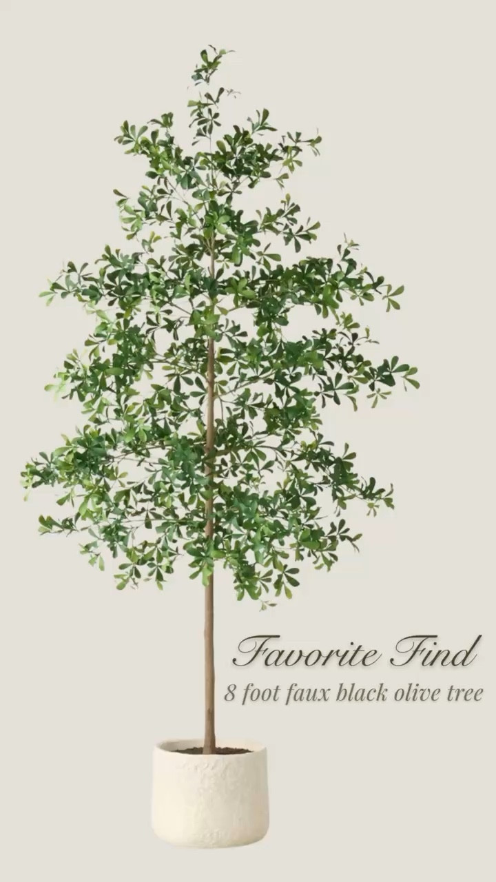 The perfect faux black olive tree in the cutest decorative pot- from the new Hearth & Hand with Magnolia summer collection! summer decor, spring, home decor, modern organic, modern farmhouse, cottage, cozy decor, living room, family room, entryway, dining room, breakfast nook, kitchen, bedroom, guest room, home office #LTKStyleTip

#LTKSeasonal #LTKHome