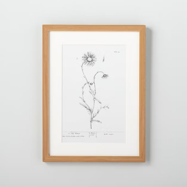 12" x 16" Ox Daisy Floral Wall Art - Hearth & Hand™ with Magnolia | Target