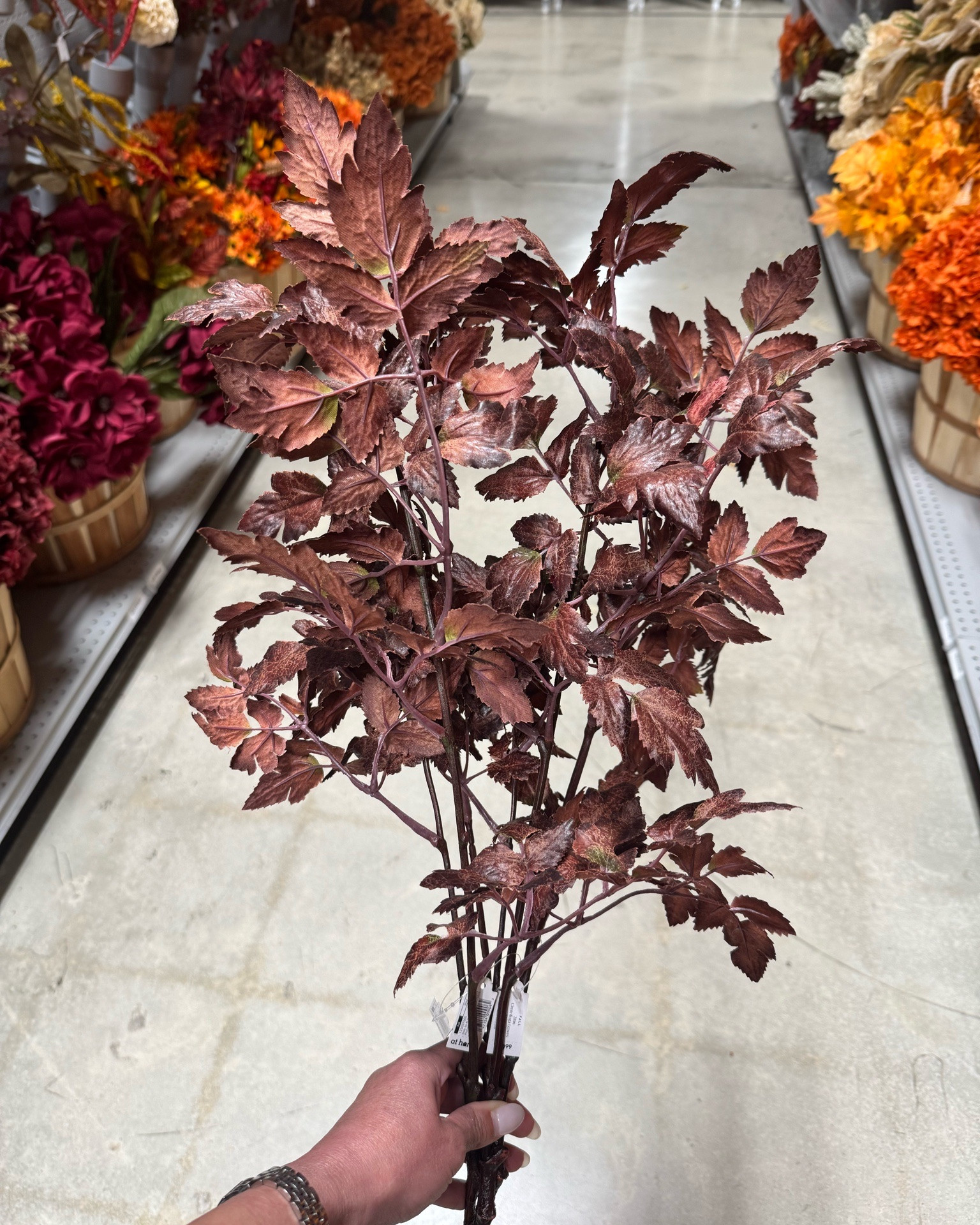 NEW affordable fall stems!!!! These are so good!🍂
#fall stems #fall decor