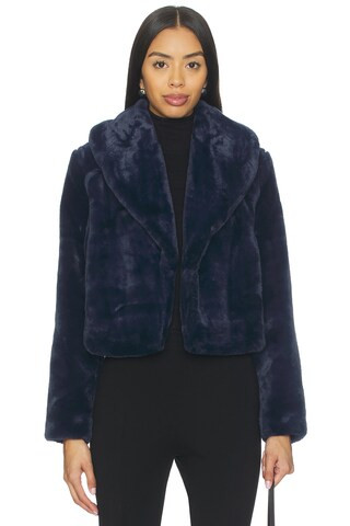 BLANKNYC Cropped Faux Fur Coat in Frost Bite from Revolve.com | Revolve Clothing (Global)