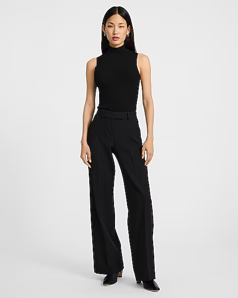 Silky Soft Fitted Mock Neck Sweater Tank | Express