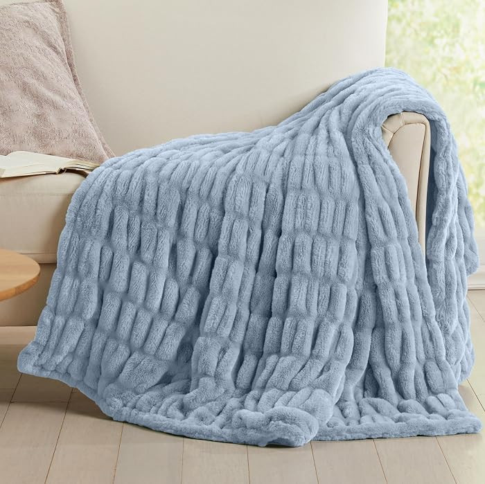 Luxury Micro Plush Throw Blanket | Thick Faux Fur | Blue | Amazon (US)