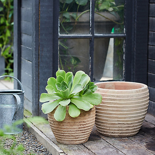 Antiqued Ring Ceramic Jar Planter, 15" | Terrain